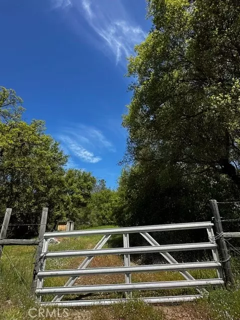 4658 Little Bear Road, Mariposa, CA 95338