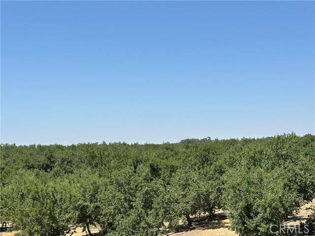 Madera, CA 93636,29710 Avenue 15 1/2