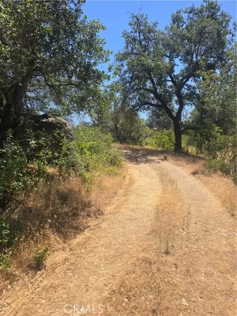 North Fork, CA 93643,0 Wild Iris