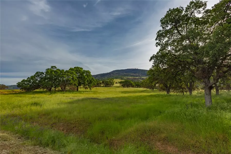 0 Wild Turkey Ln., Bear Valley, CA 95338