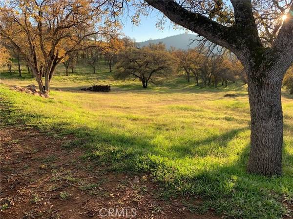 3295 Blue Oak Drive, Catheys Valley, CA 95306