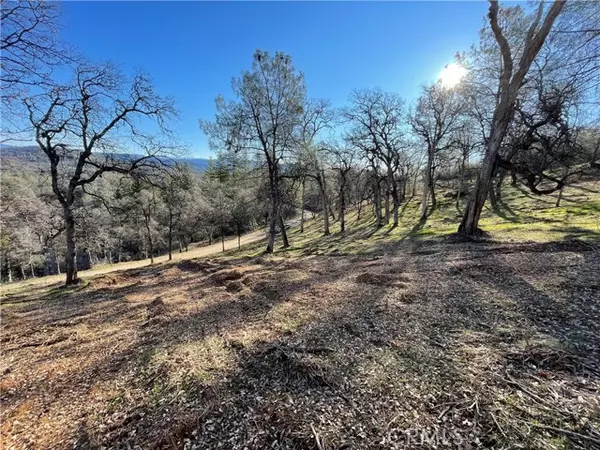 Mariposa, CA 95338,0 Foran