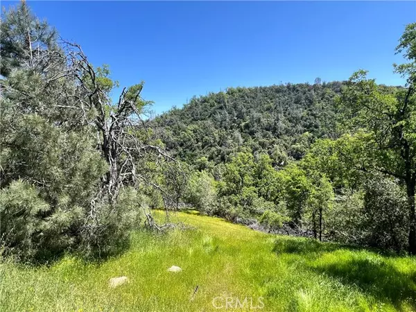 0 Lakeside Drive, Mariposa, CA 95338