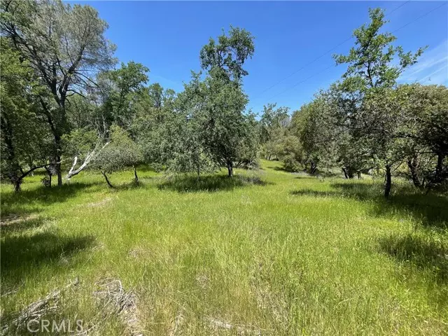 5275 Italian Creek Road, Mariposa, CA 95338