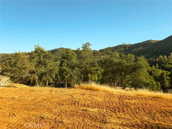 Mariposa, CA 95338,0 Terrace View