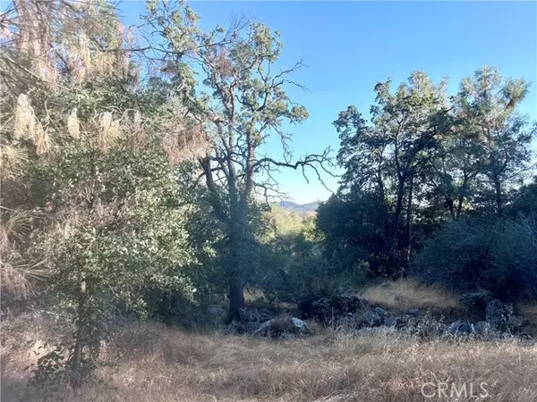 Mariposa, CA 95338,5278 Cya Road