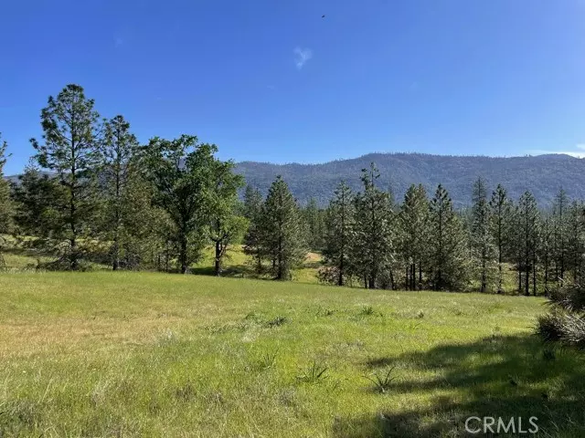 Mariposa, CA 95338,0 Triangle Road