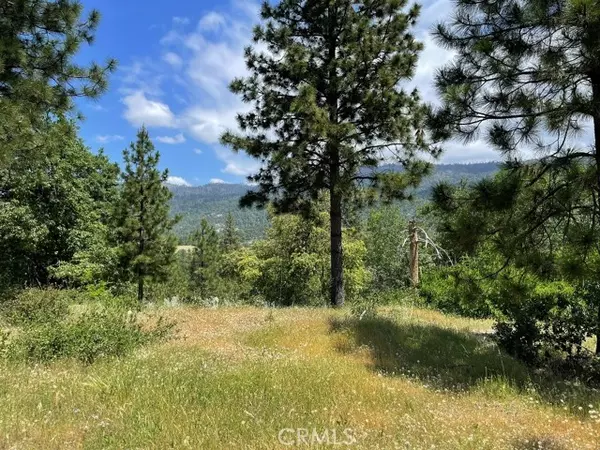 0 Triangle Road, Mariposa, CA 95338