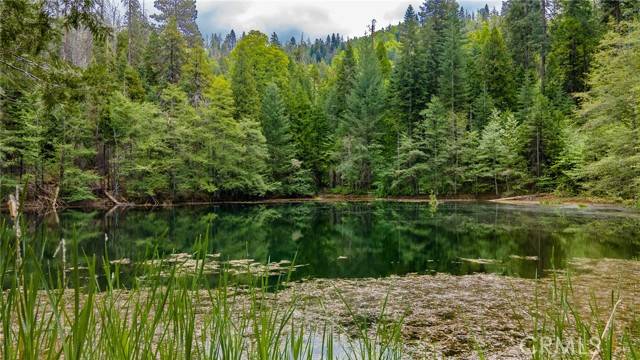 Ahwahnee, CA 95338,5657 Worman Road