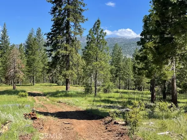 Mariposa, CA 95338,2964 Triangle Road