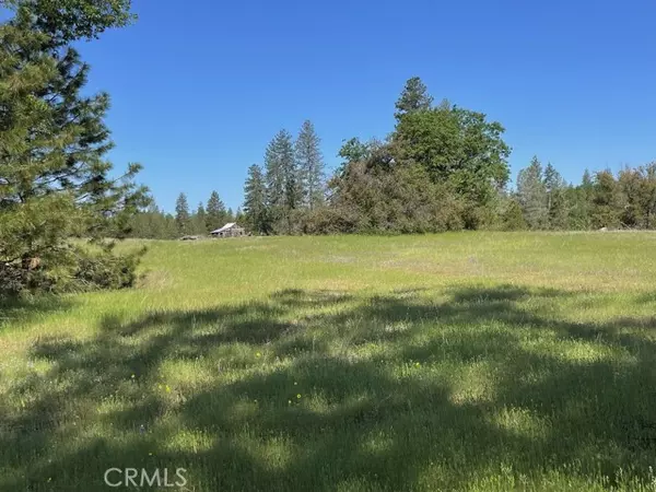 Mariposa, CA 95338,2964 Triangle Road