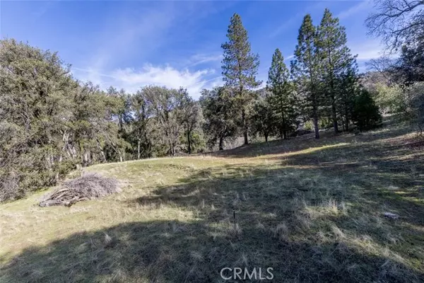 Mariposa, CA 95338,0 Nutter Ranch