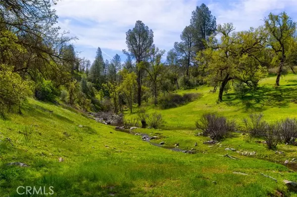 Mariposa, CA 95338,3729 Ben Hur Road