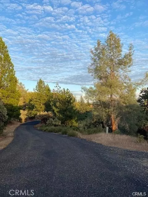 Mariposa, CA 95338,17 Vista Lago