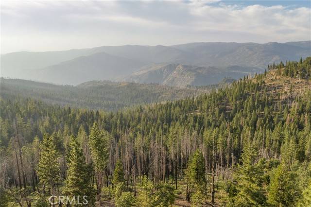 Yosemite, CA 95389,7373 Henness Ridge Road