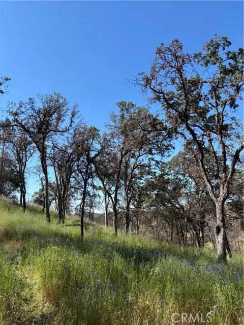 Mariposa, CA 95338,5358 Mariposa Heights Road
