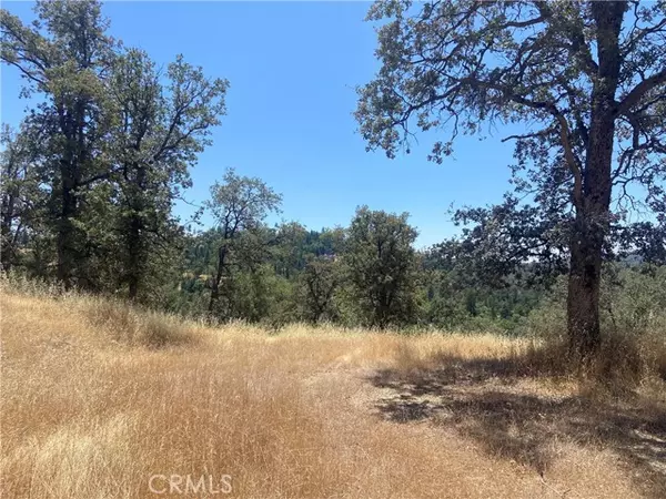 Mariposa, CA 95338,5737 Colorado Road