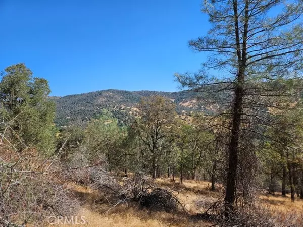 Mariposa, CA 95338,5640 Blue Oak Ridge Road