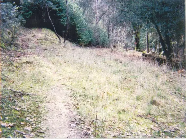 Mariposa, CA 95338,5699 Creel