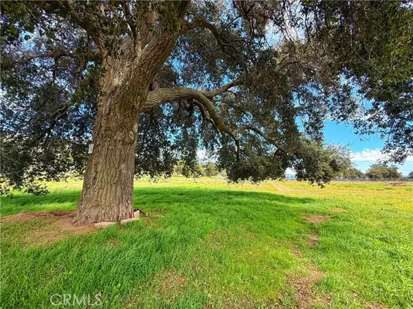 Warner Springs, CA 92086,0 Highway 79