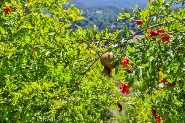 Murrieta, CA 92562,0 Via Herradura