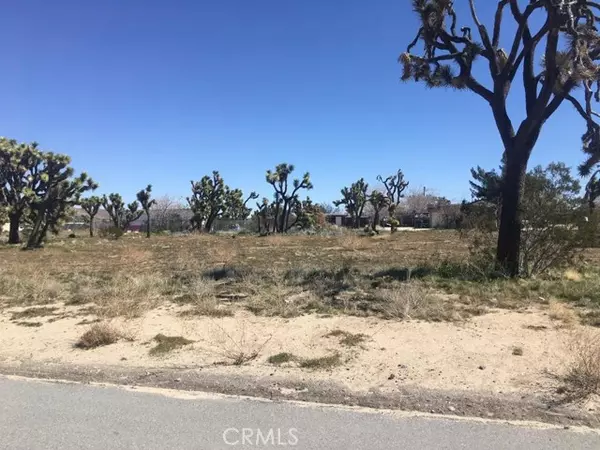 Yucca Valley, CA 92284,7199 Grand Avenue