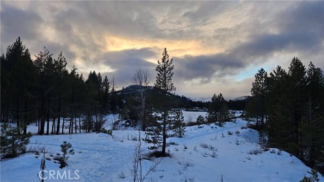 Truckee, CA 96161,11640 Mcclintock
