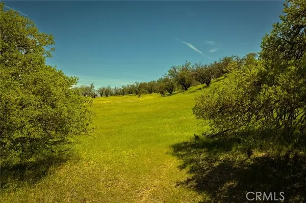 Paso Robles, CA 93446,0 Geneseo Road