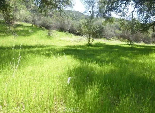 0 0 Vineyard Canyon Parcel 29, San Miguel, CA 93451