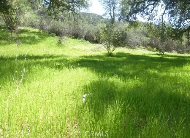 San Miguel, CA 93451,0 0 Vineyard Canyon Parcel 29