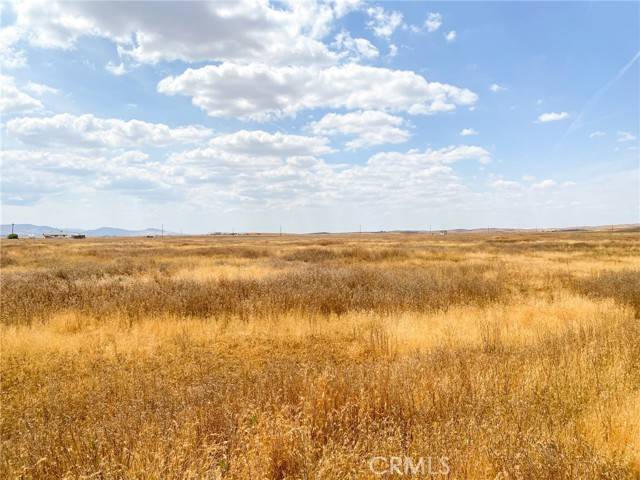 Santa Margarita, CA 93453,0 Burney Road