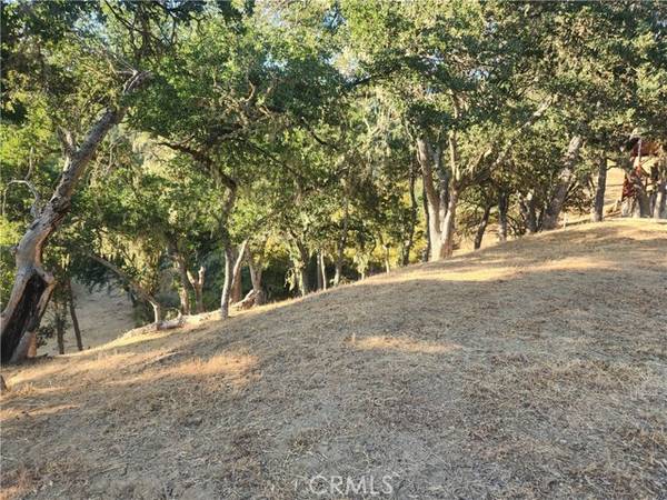 2263 Lariat Loop, Bradley, CA 93426