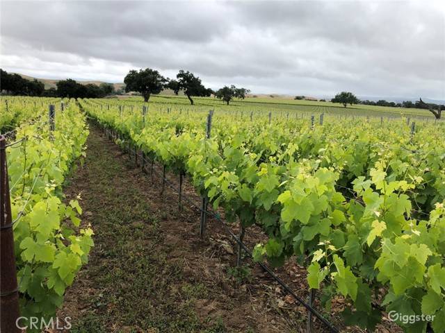 Los Olivos, CA 93441,6893 Foxen Canyon Road