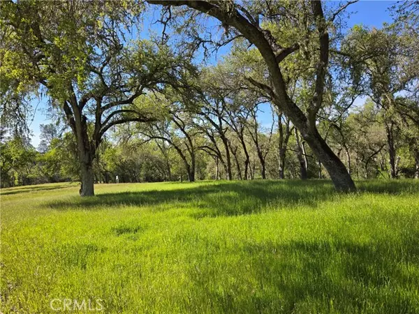 Paso Robles, CA 93446,5860 Aluffo Road