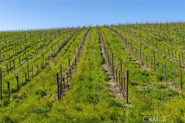 Paso Robles, CA 93451,5790 Hog Canyon