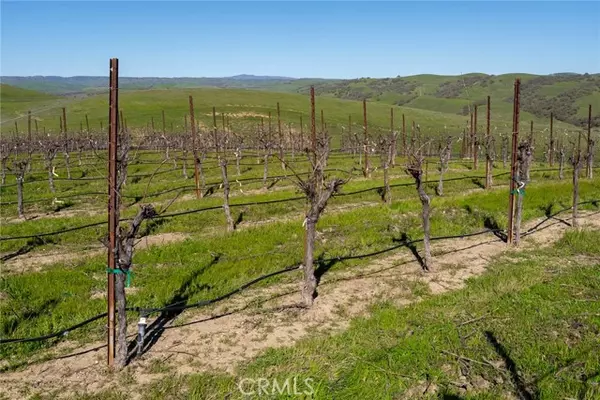 Paso Robles, CA 93451,5790 Hog Canyon