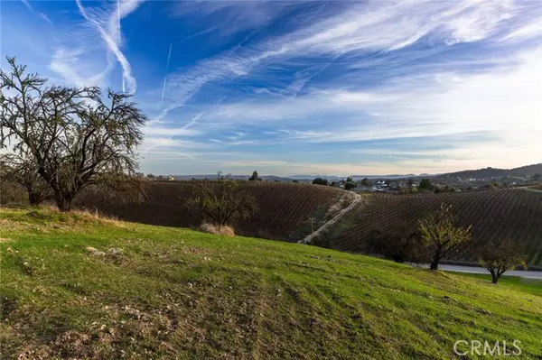 Paso Robles, CA 93446,0 Caballo