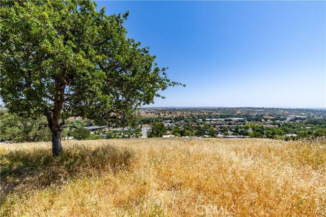 Paso Robles, CA 93446,437 Calle Alto Street