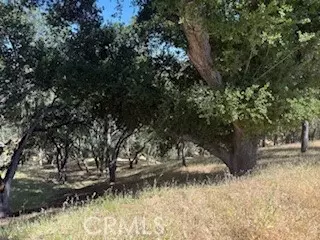 2172 Ridge Rider Road, Bradley, CA 93426
