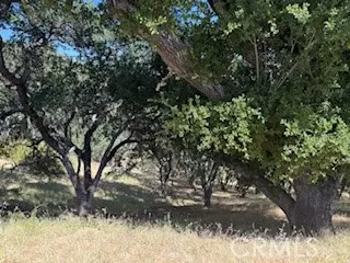 Lake Nacimiento, CA 93426,2172 Ridge Rider Road