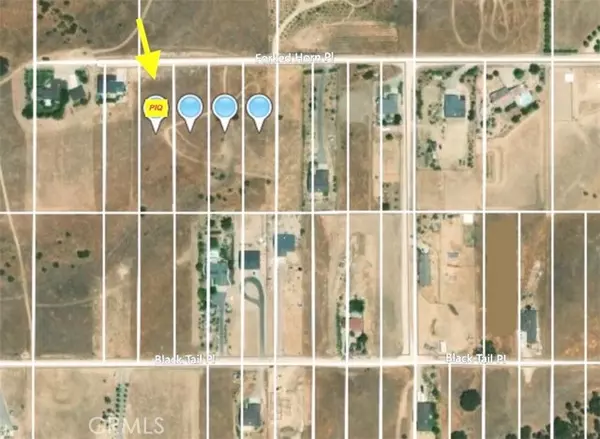 Paso Robles, CA 93446,5940 Forked Horn Place
