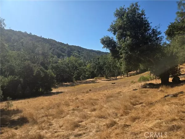 Paso Robles, CA 93446,0 Gallegos Ranch Road