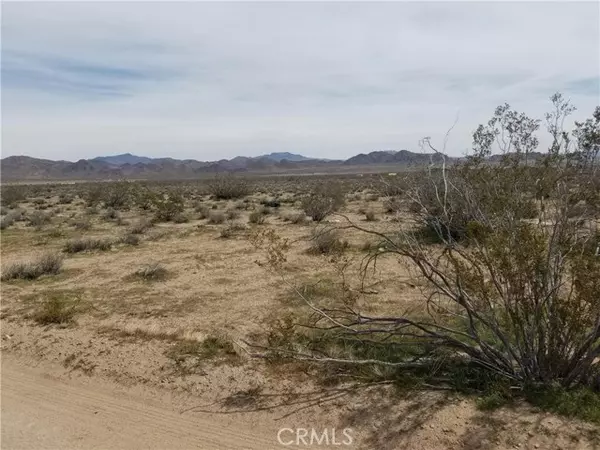 Lucerne Valley, CA,34558 Cattleman