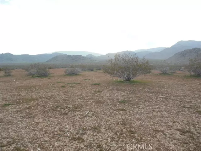 34558 Cattleman, Lucerne Valley, CA