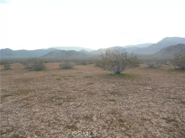 Lucerne Valley, CA,34558 Cattleman