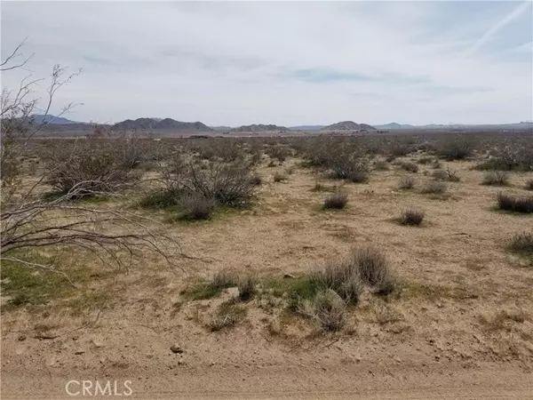 Lucerne Valley, CA,34558 Cattleman