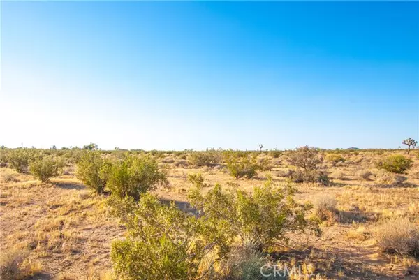 Joshua Tree, CA 92252,62755 Campanula Street