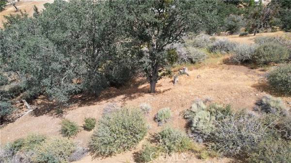 0 Lusanne Court, Tehachapi, CA 93561