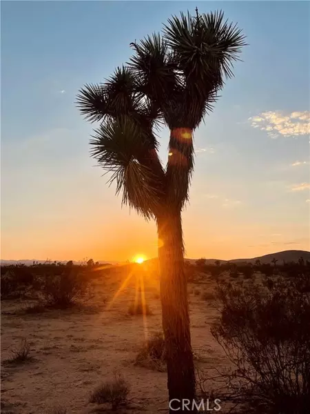 0 Cielito, Joshua Tree, CA 92252