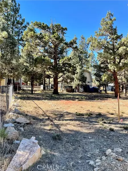 944 Ash Lane, Big Bear City, CA 92314